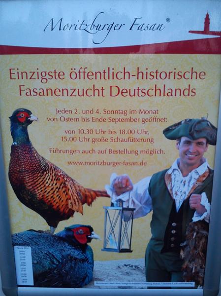 Moritzburg, 23.02.2014.jpg